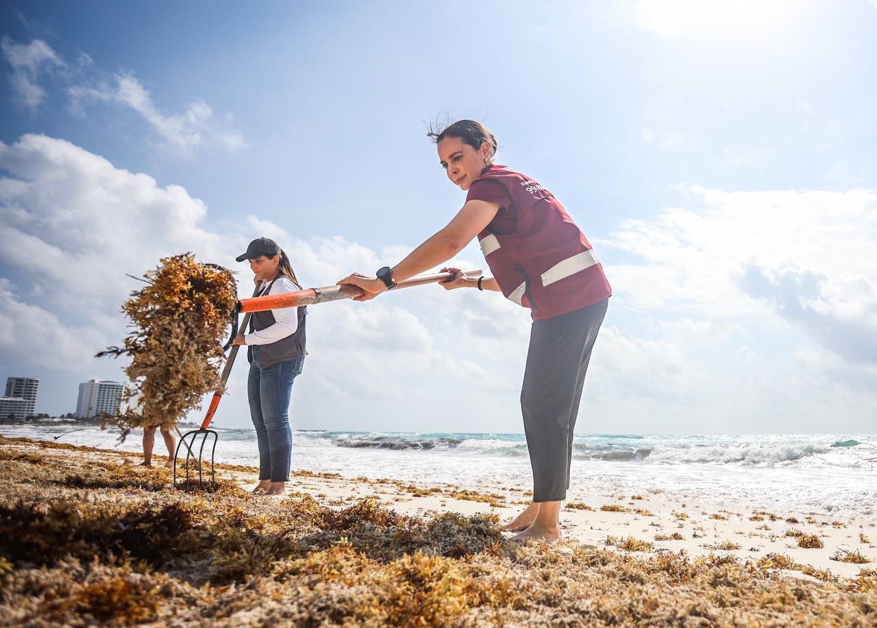 uploads/6/32/01 (2762).Jpeg